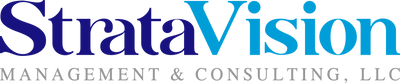 StrataVision